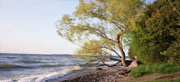 Stoney Beach, Lake Simcoe